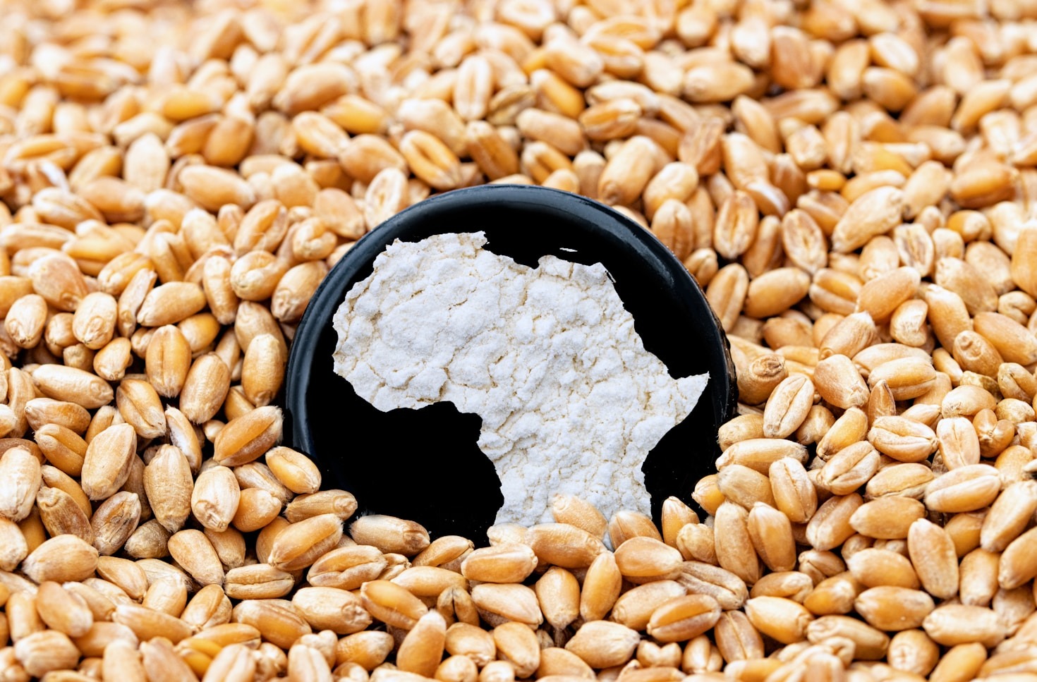 Getting Started With Your First Grain Mill